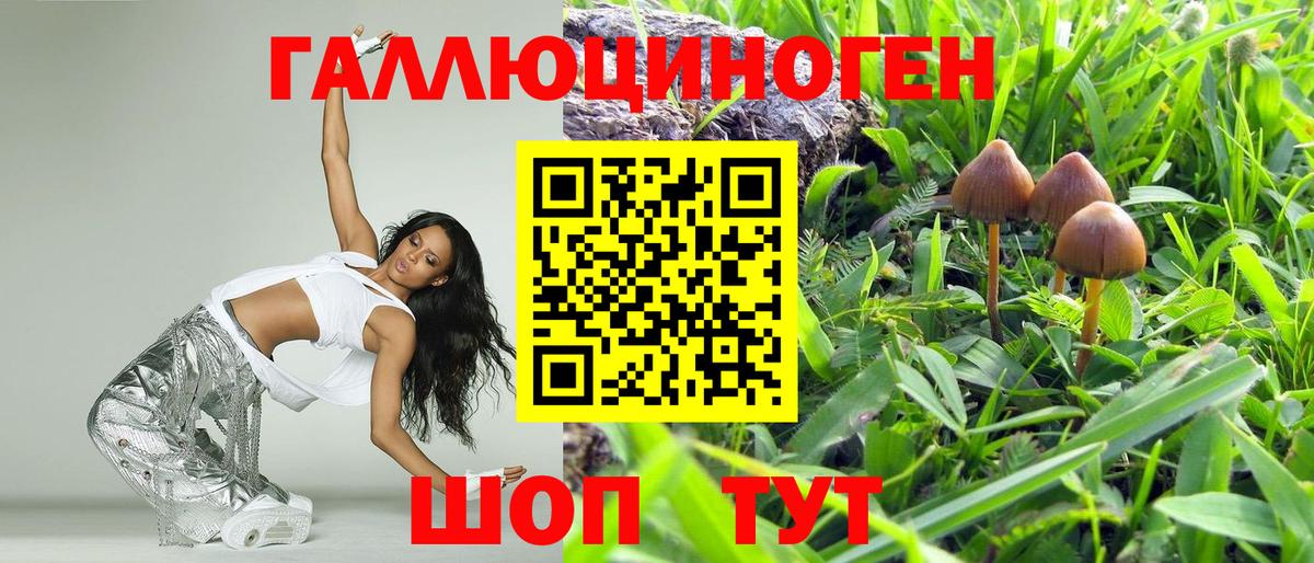 Псилоцибиновые грибы MAGIC MUSHROOMS  Вход с VPN  Минеральные Воды  Галлюциногенные грибы мухоморы 